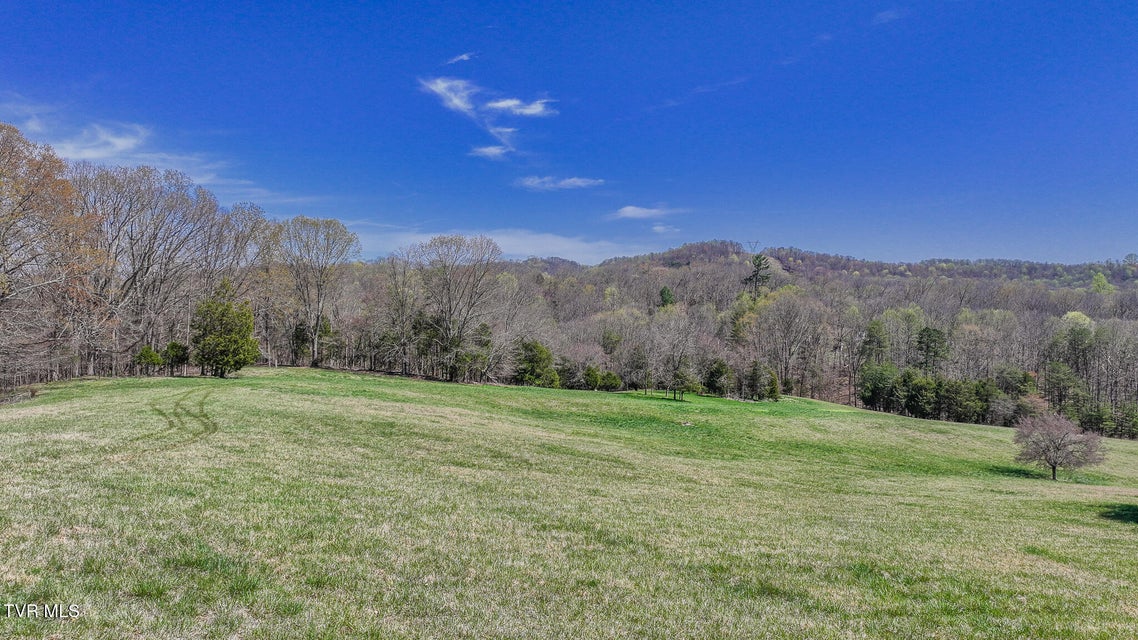 Photo #3: Tbd Pitt Loop