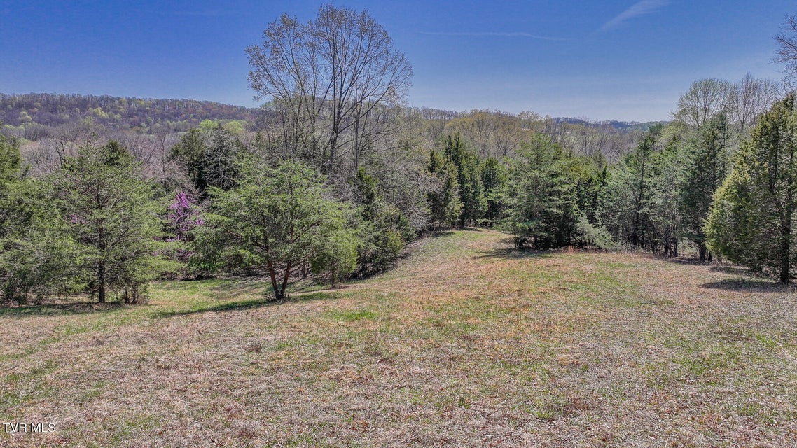Photo #4: Tbd Pitt Loop