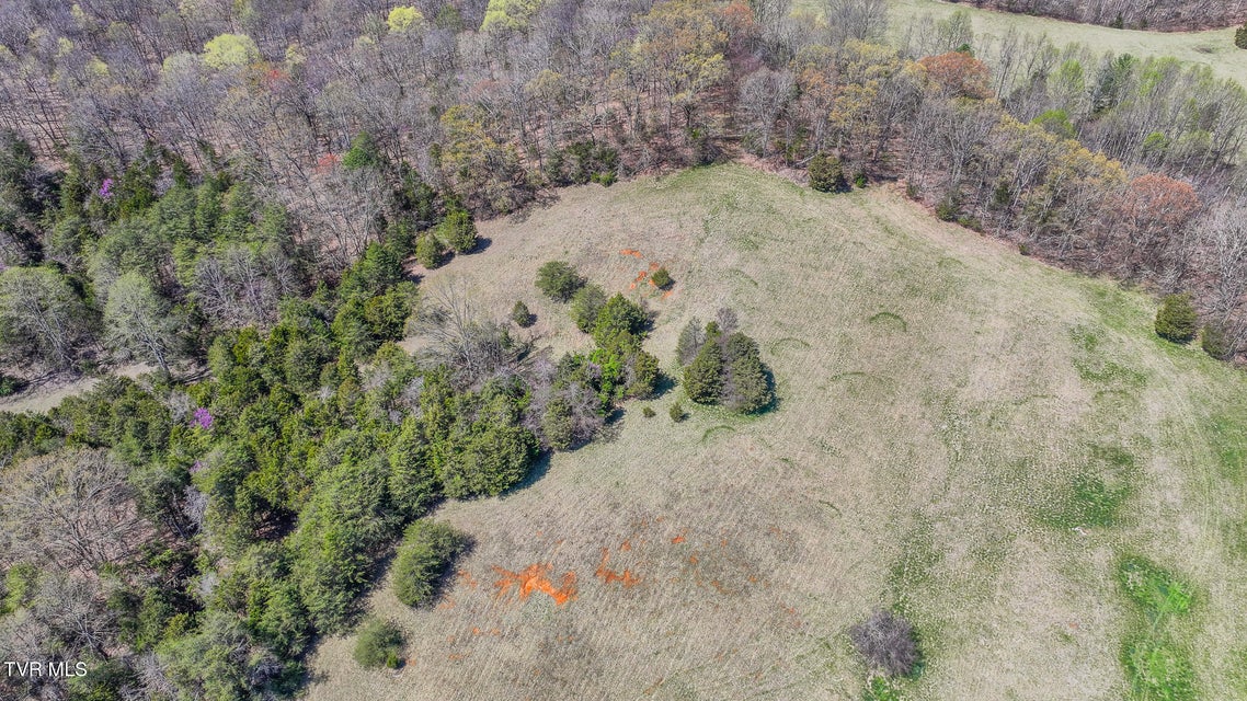 Photo #5: Tbd Pitt Loop