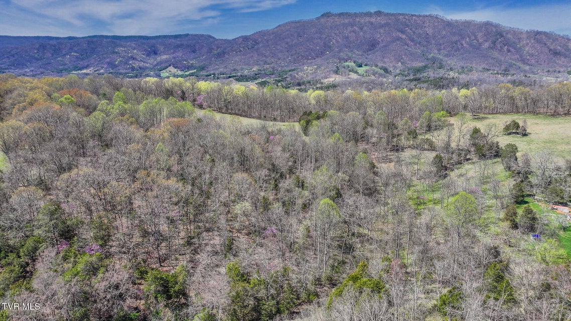 Photo #7: Tbd Pitt Loop