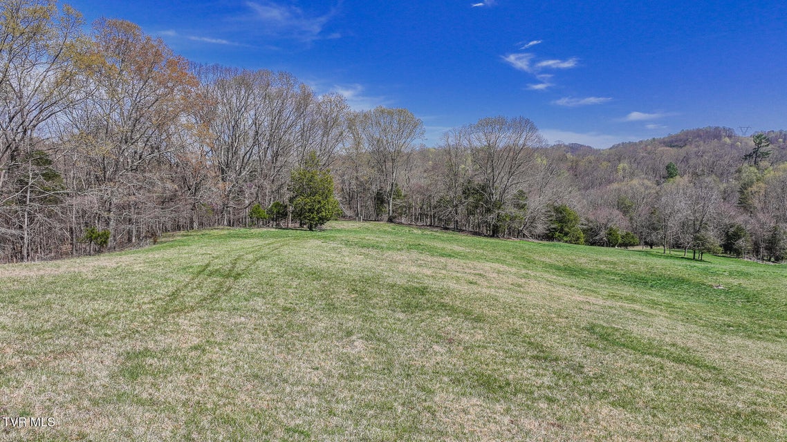 Photo #8: Tbd Pitt Loop