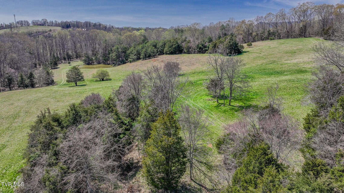 Photo #9: Tbd Pitt Loop