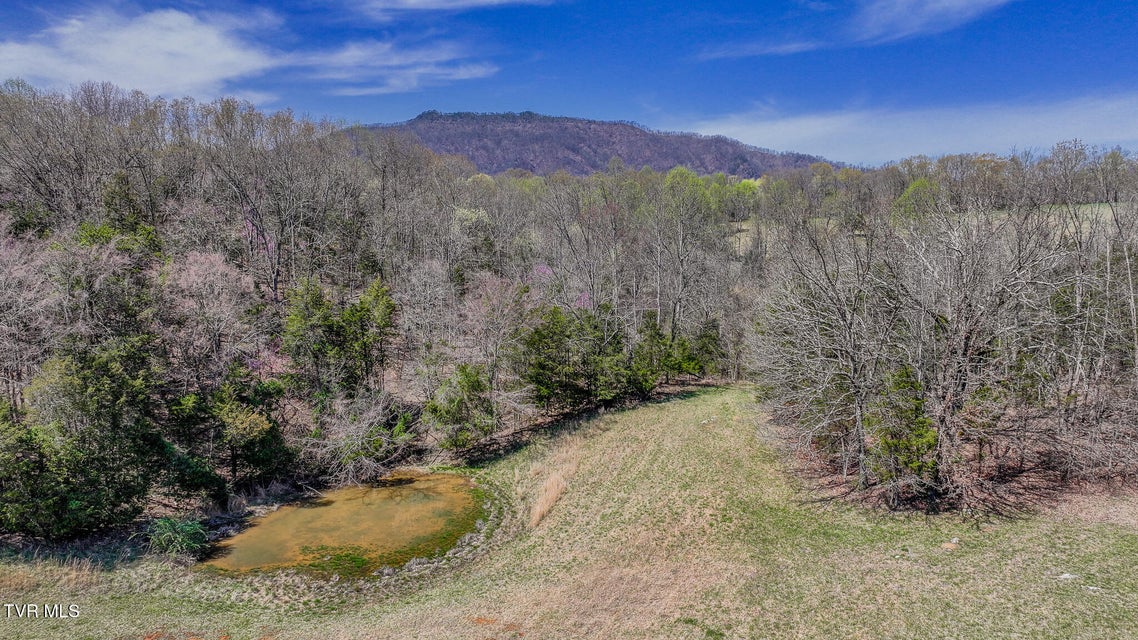 Photo #12: Tbd Pitt Loop