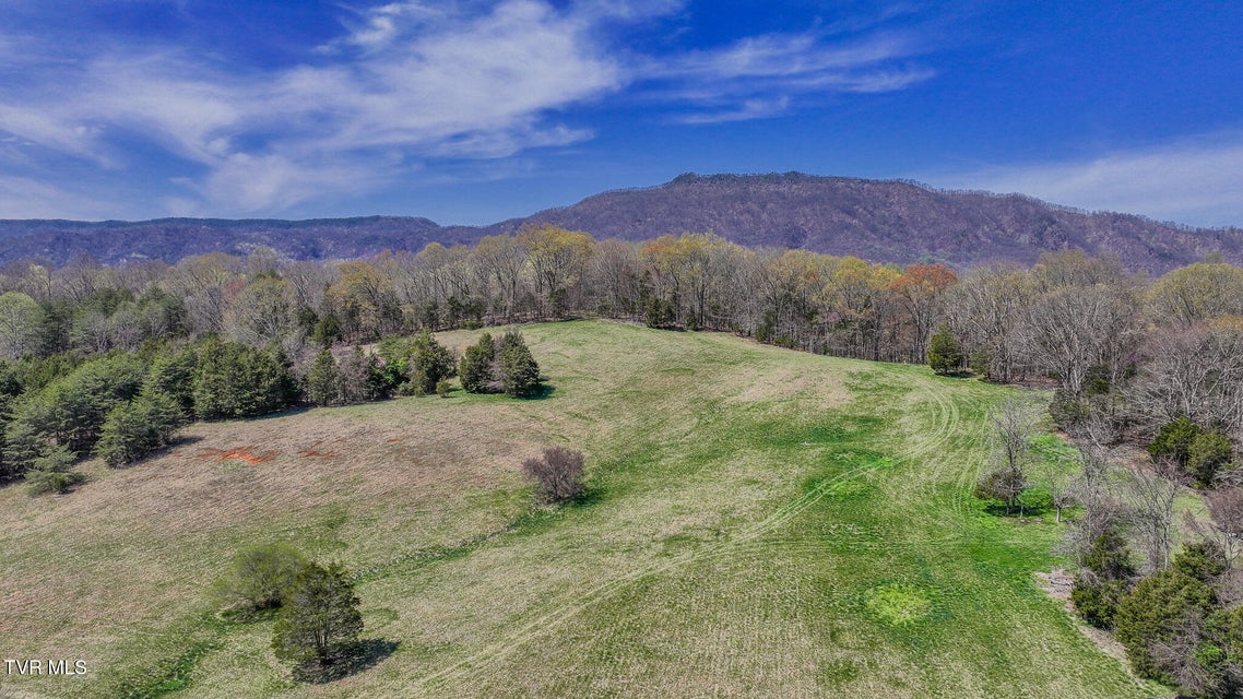 Photo #13: Tbd Pitt Loop