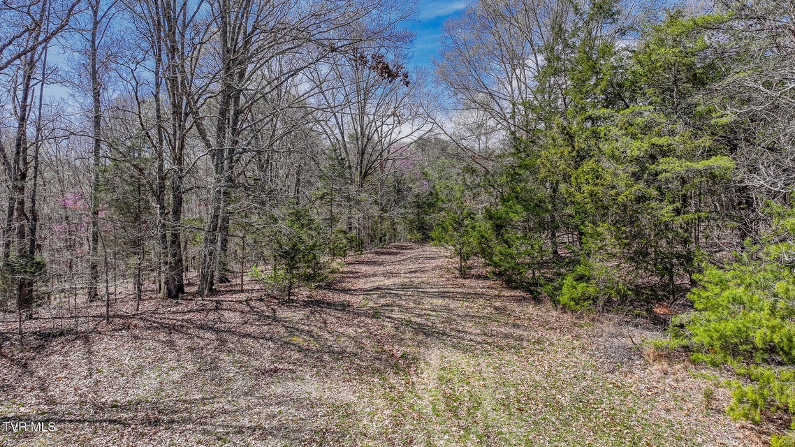Photo #15: Tbd Pitt Loop