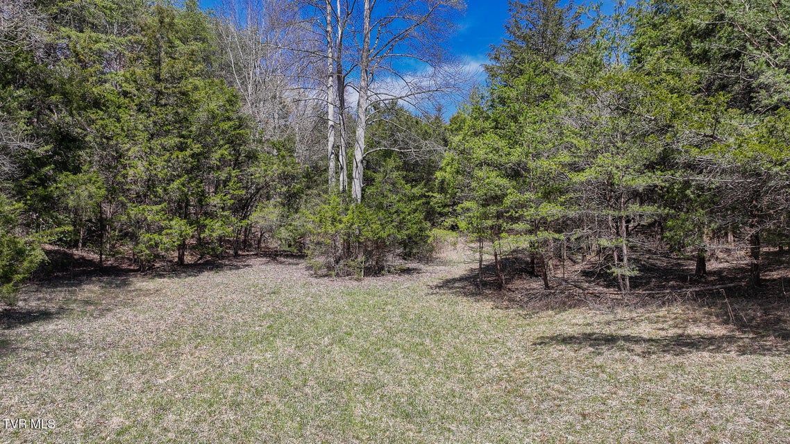 Photo #16: Tbd Pitt Loop
