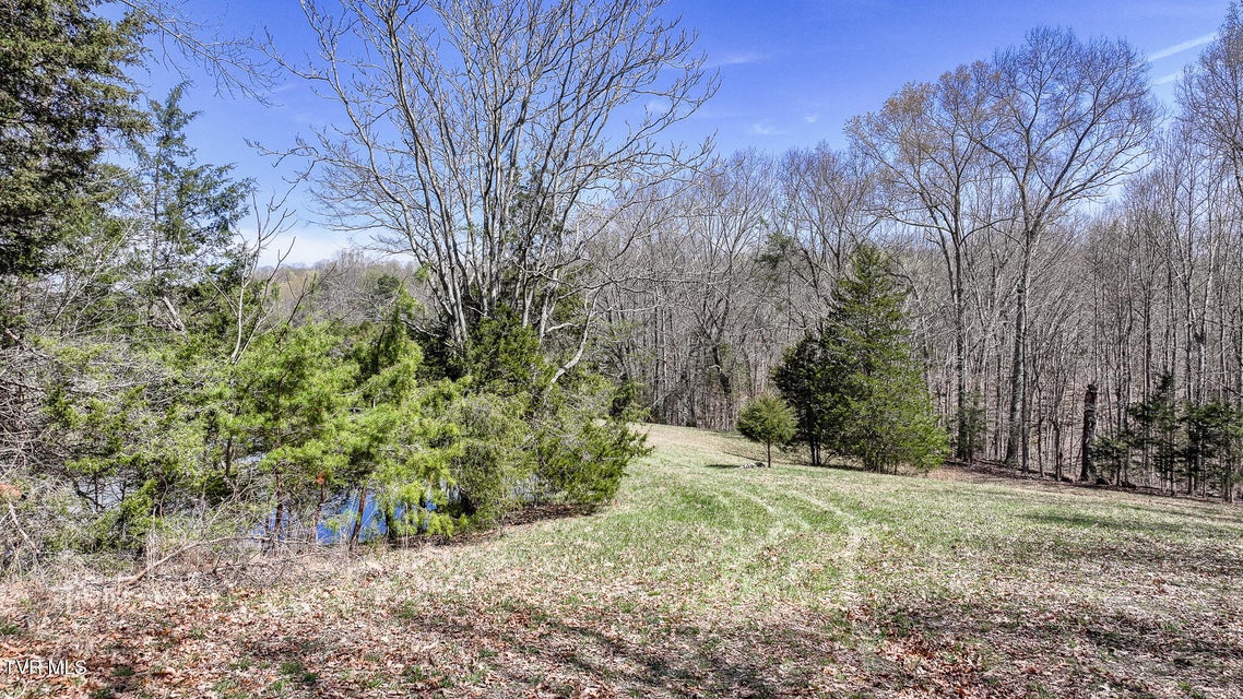 Photo #17: Tbd Pitt Loop