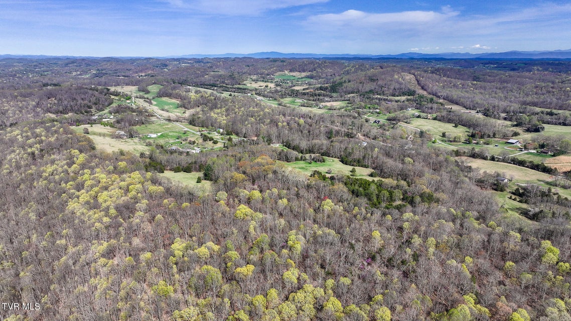 Photo #19: Tbd Pitt Loop