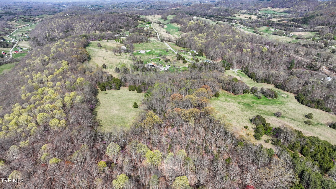 Photo #20: Tbd Pitt Loop