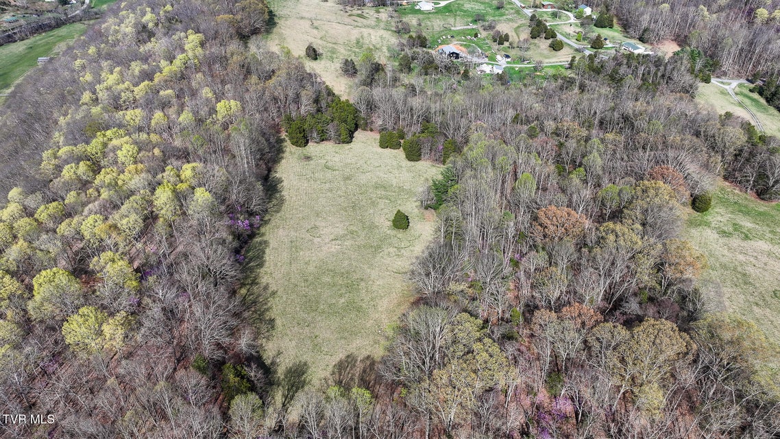 Photo #21: Tbd Pitt Loop