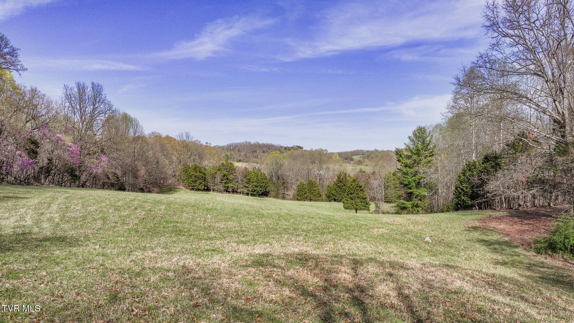 Photo #22: Tbd Pitt Loop