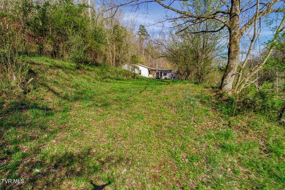 Photo #2: 000 Sensabaugh Hollow Road