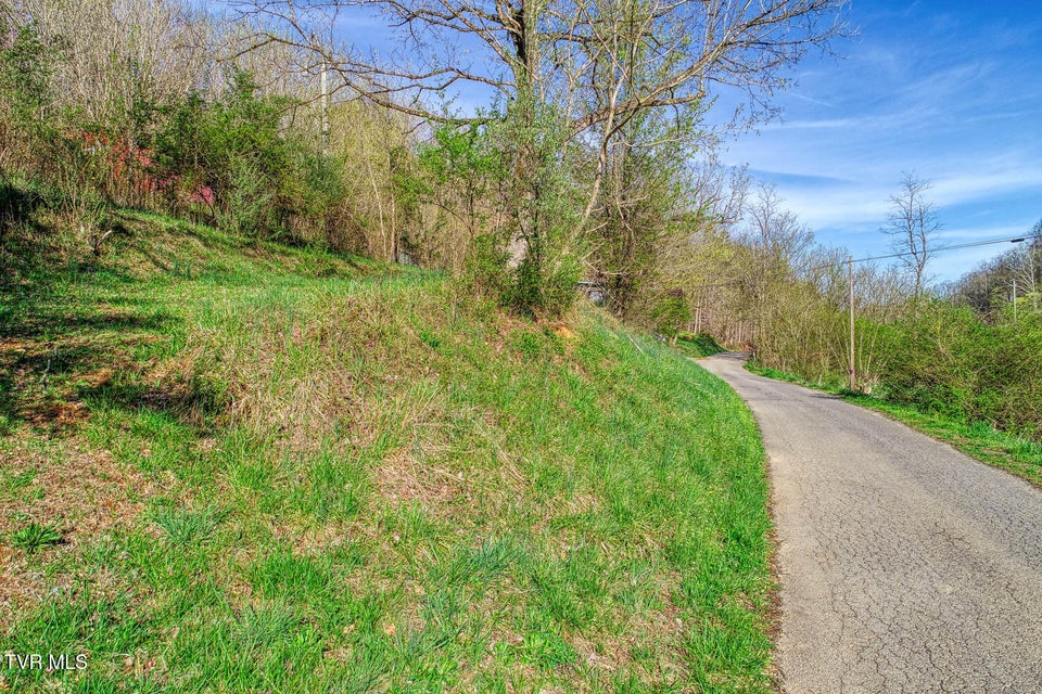 Photo #3: 000 Sensabaugh Hollow Road