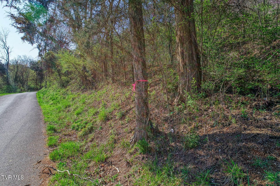 Photo #4: 000 Sensabaugh Hollow Road