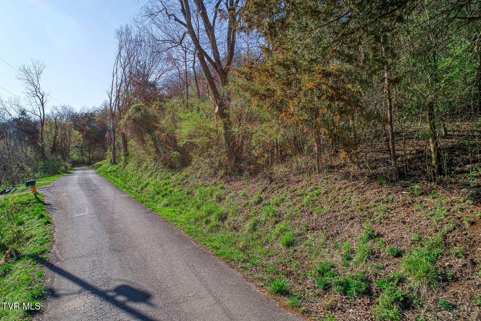 Photo #5: 000 Sensabaugh Hollow Road