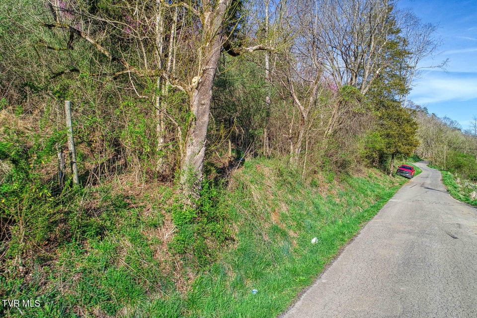 Photo #6: 000 Sensabaugh Hollow Road