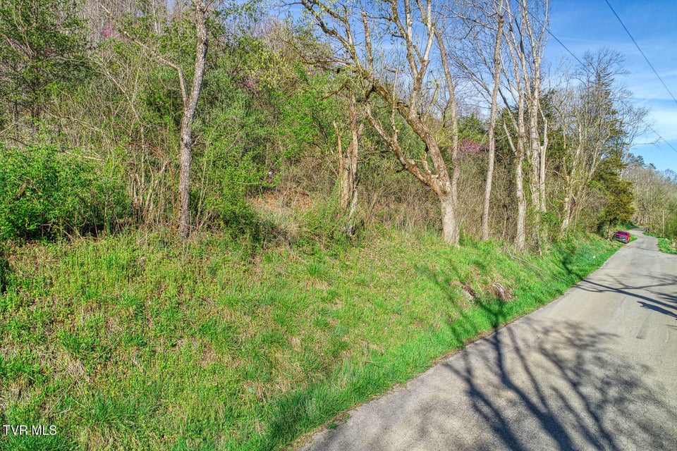 Photo #7: 000 Sensabaugh Hollow Road