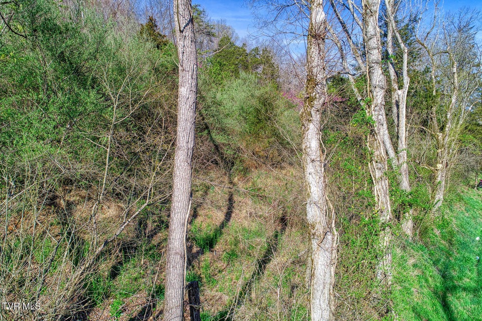 Photo #8: 000 Sensabaugh Hollow Road
