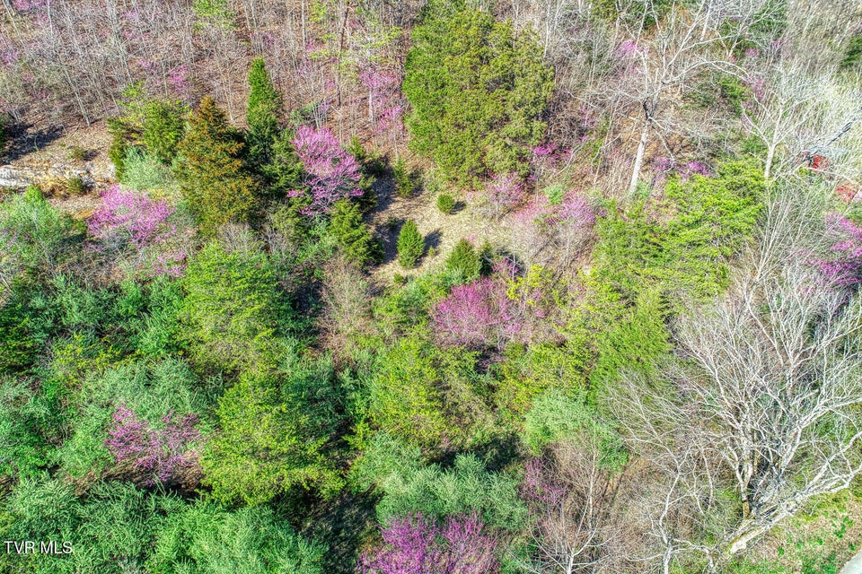 Photo #10: 000 Sensabaugh Hollow Road