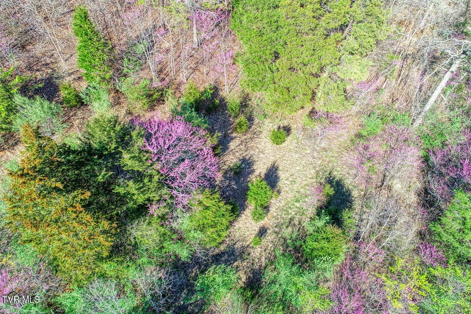 Photo #11: 000 Sensabaugh Hollow Road