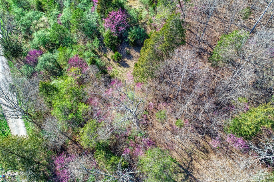 Photo #12: 000 Sensabaugh Hollow Road