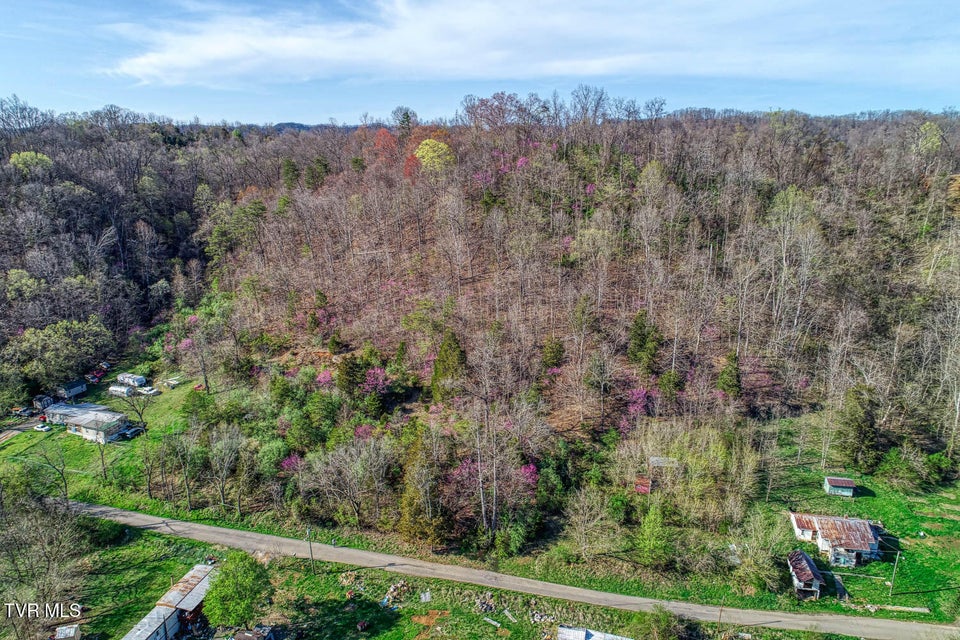 Photo #14: 000 Sensabaugh Hollow Road