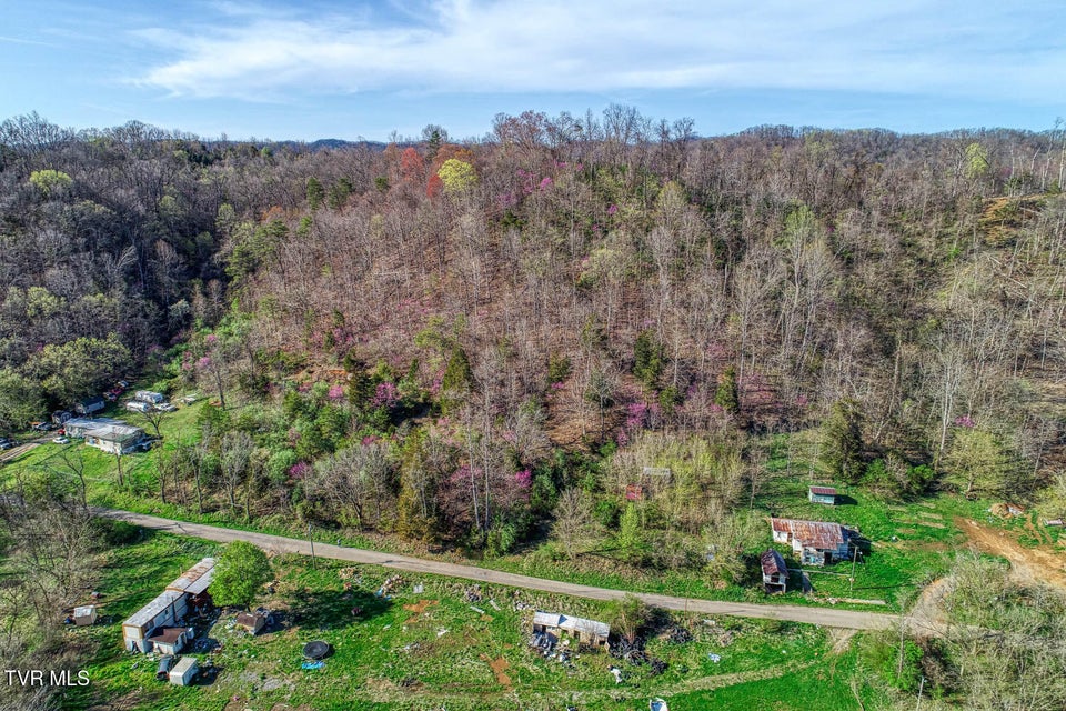 Photo #17: 000 Sensabaugh Hollow Road