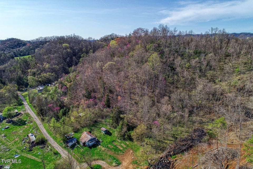 Photo #15: 000 Sensabaugh Hollow Road