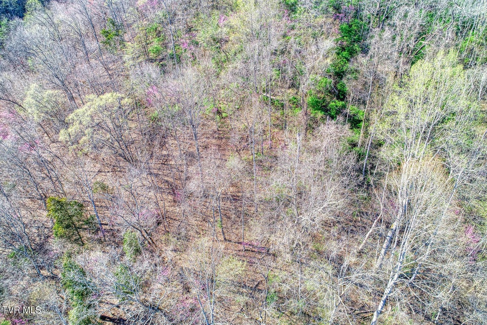 Photo #18: 000 Sensabaugh Hollow Road