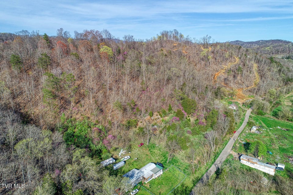 Photo #19: 000 Sensabaugh Hollow Road