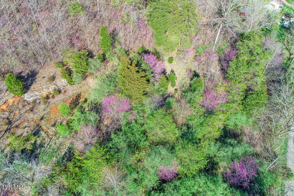 Photo #21: 000 Sensabaugh Hollow Road
