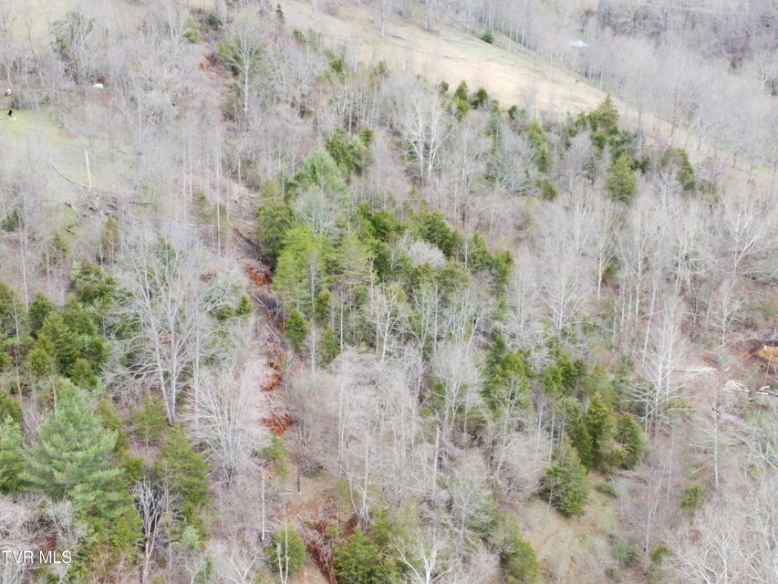 Photo #17: 14251 Nickelsville Highway