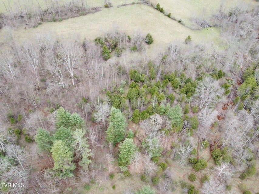 Photo #22: 14251 Nickelsville Highway