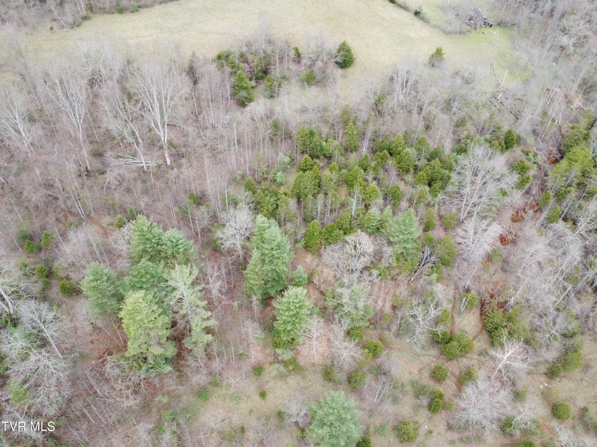 Photo #23: 14251 Nickelsville Highway