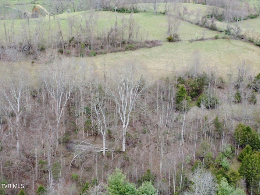 Photo #31: 14251 Nickelsville Highway
