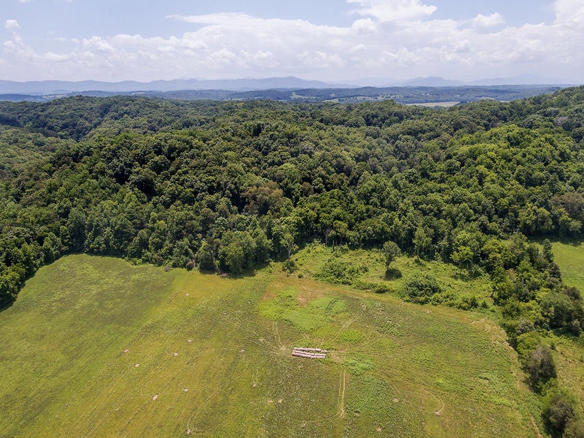 Photo #12: Tbd Warrensburg Road