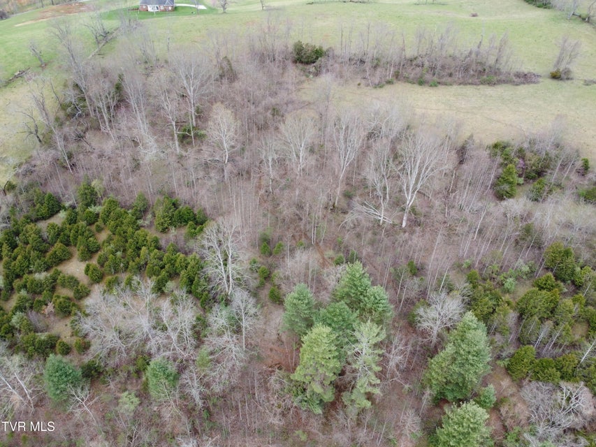 Photo #73: 14251 Nickelsville Hwy. Highway