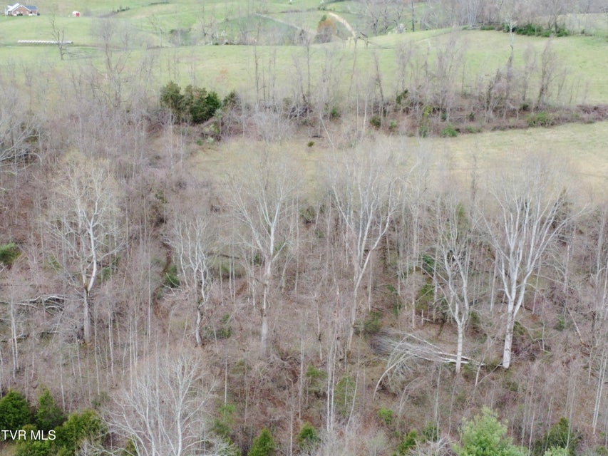 Photo #75: 14251 Nickelsville Hwy. Highway