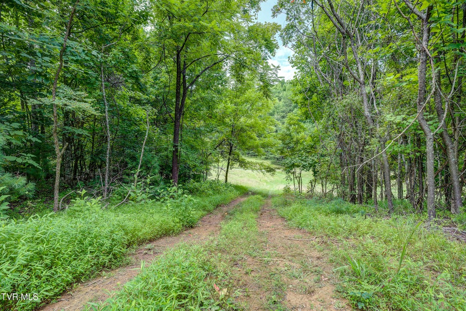 Photo #42: 6495 Lazy Bear Lane