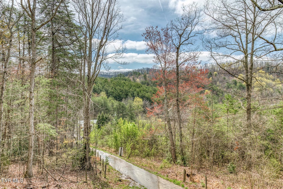 Photo #28: 871 Mountain View Road
