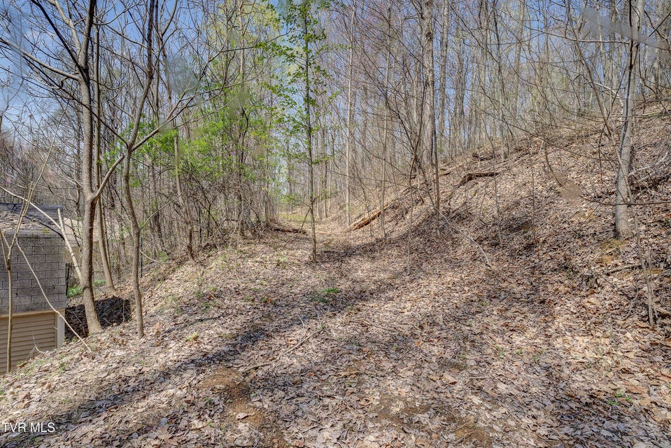 Photo #42: 131 Pheasant Hollow Lane