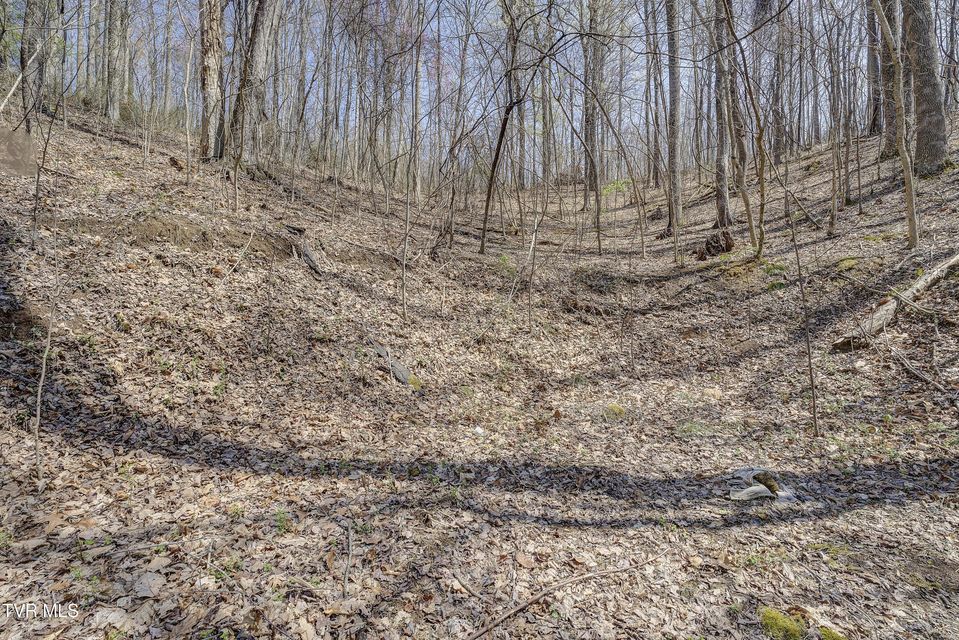 Photo #43: 131 Pheasant Hollow Lane
