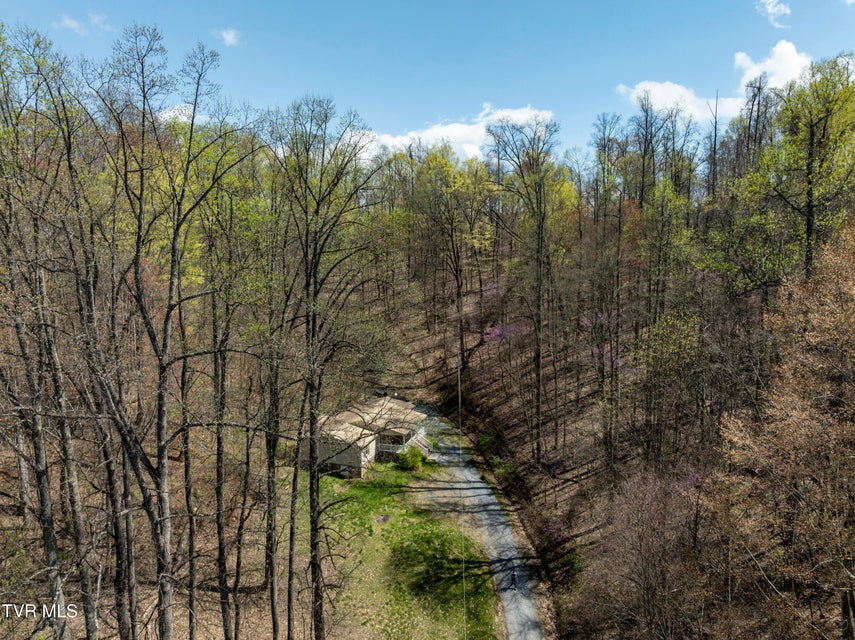Photo #52: 131 Pheasant Hollow Lane