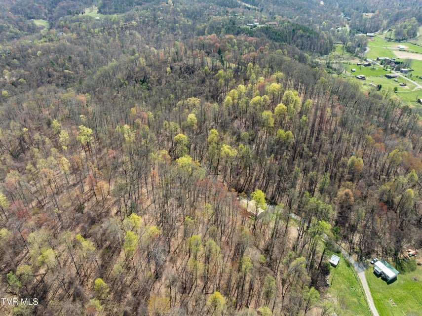 Photo #58: 131 Pheasant Hollow Lane
