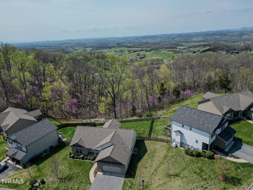 Photo #41: 643 Birds Eye View