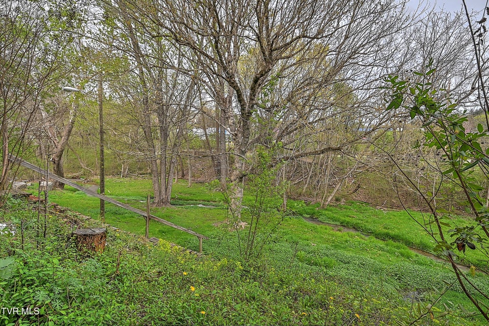 Photo #38: 813 Fain Avenue