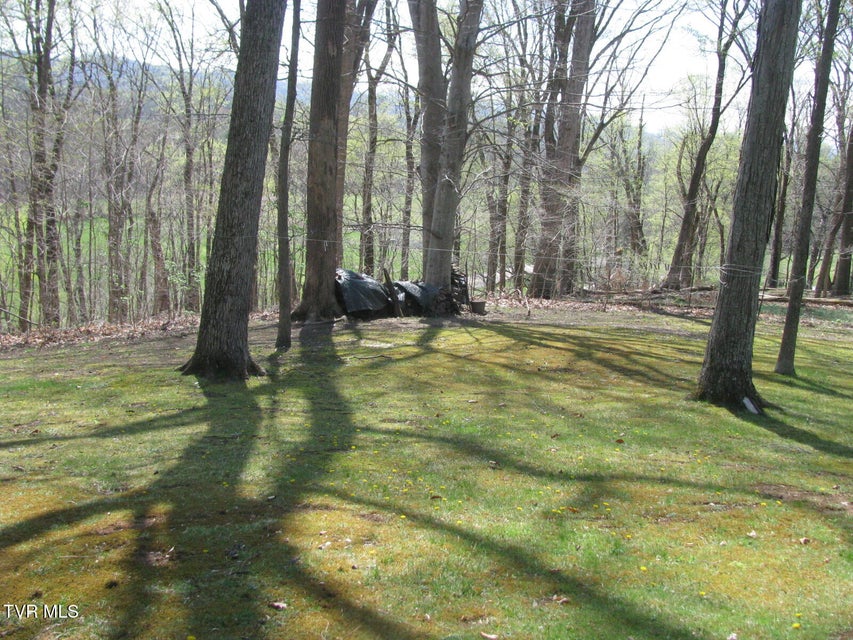 Photo #48: 3300 Roan Street