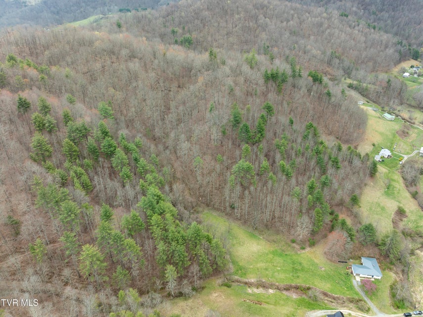 Photo #42: 110 Blankenship Road