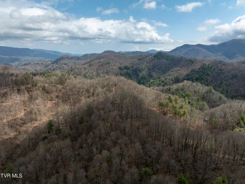 Photo #48: 110 Blankenship Road