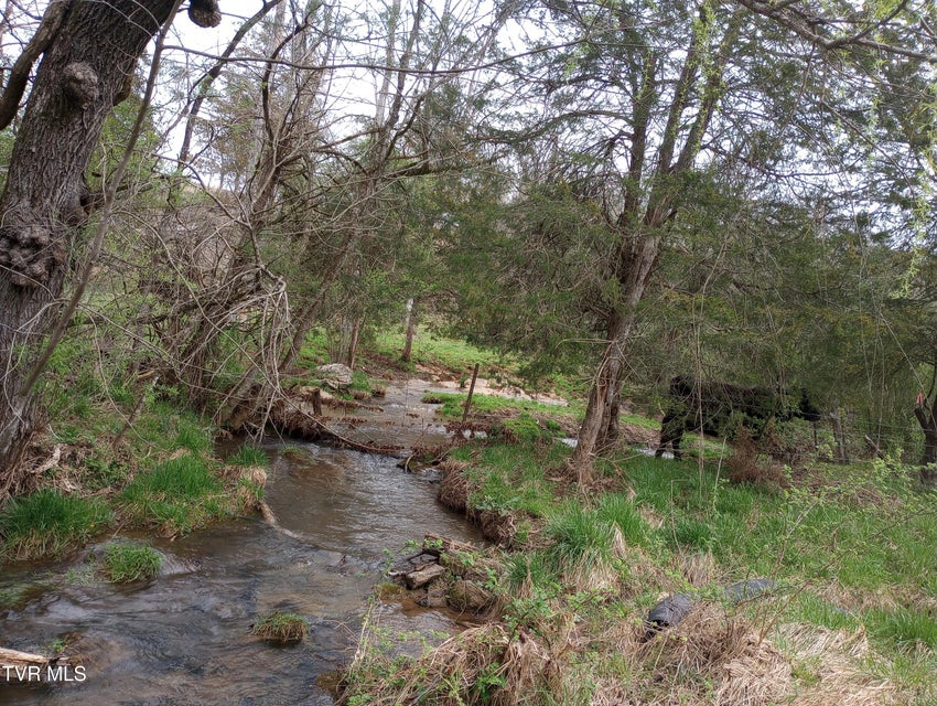 Photo #33: 632 Burtons Ford Road